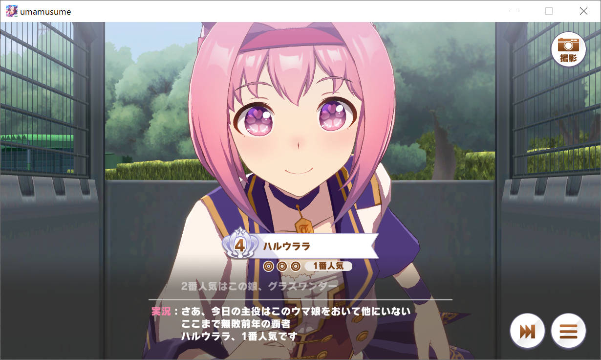 シニア 有馬記念 レース 01