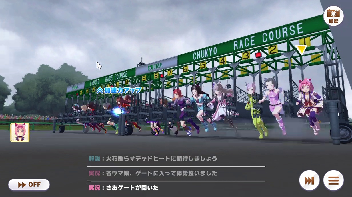 レース (11)　チャンピオンズカップ