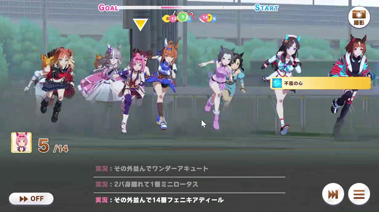 レース (17)　かしわ記念