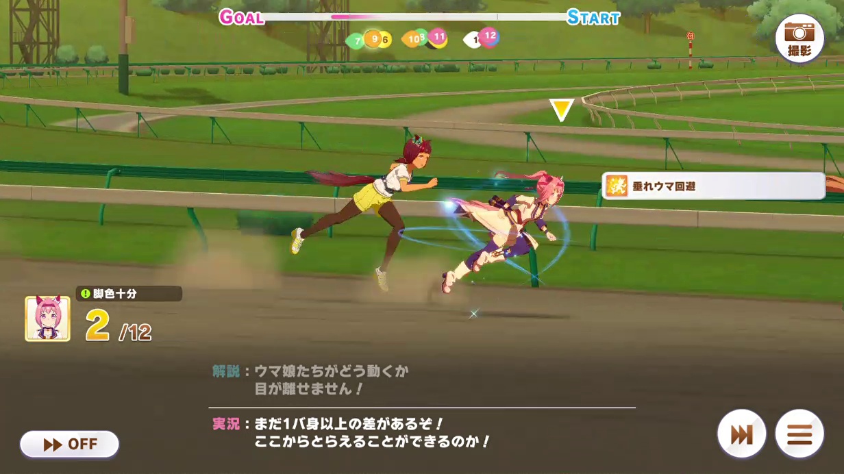 レース (22)　クラスターカップ